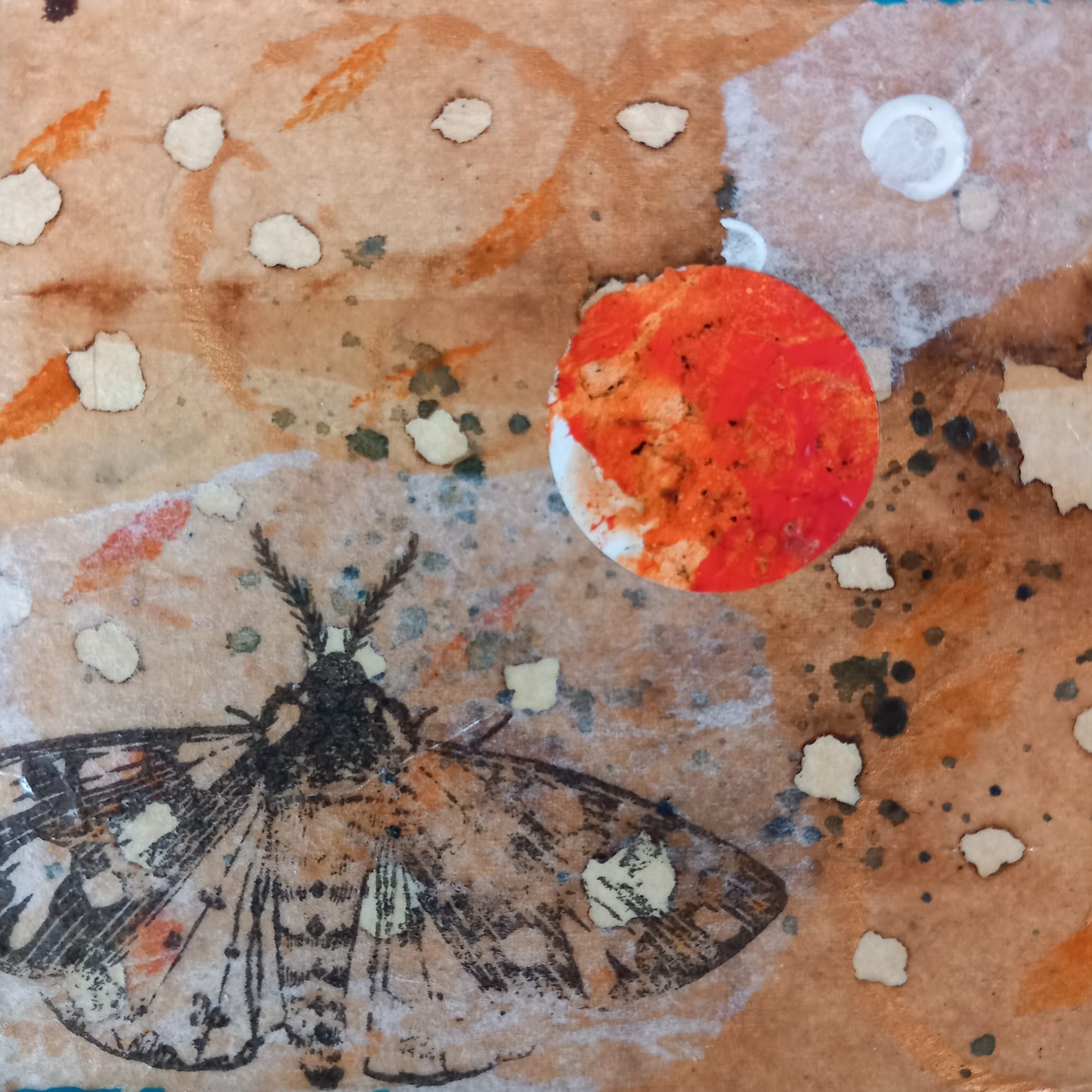 moth and moon - Kalliart